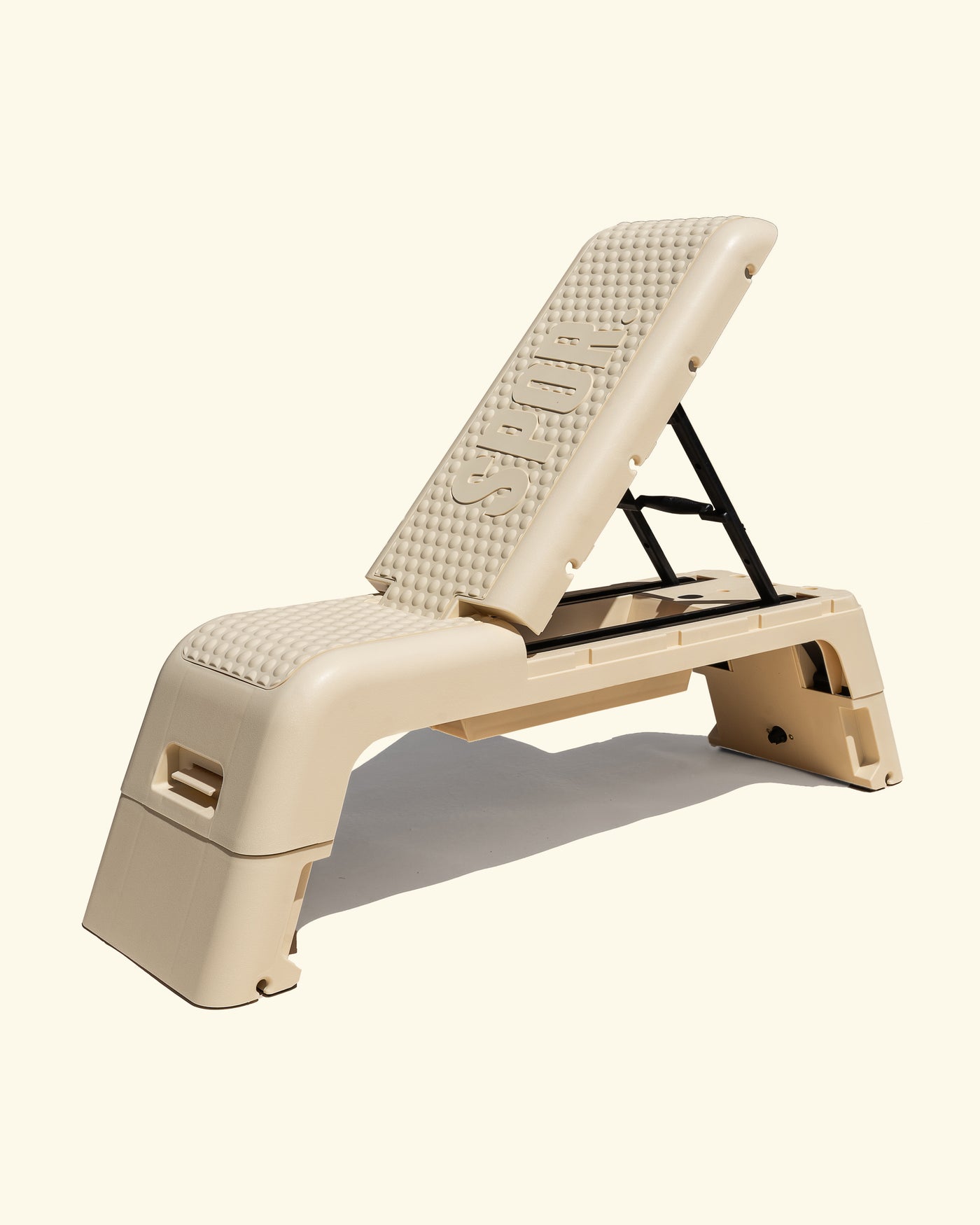 ALL-IN-1 Workout Bench/Fitness Deck